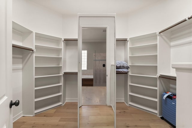 walk in closet featuring light hardwood / wood-style flooring