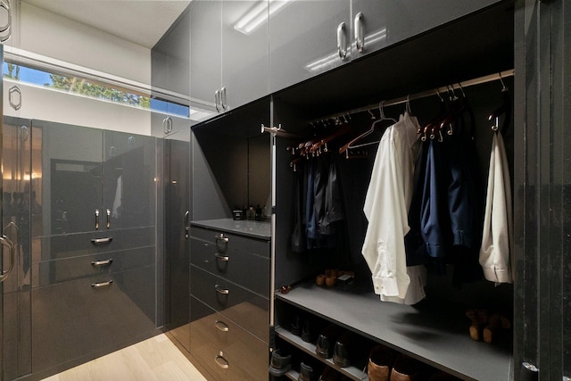 spacious closet with hardwood / wood-style floors