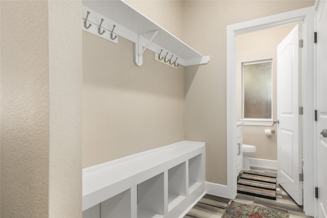 mudroom featuring wood-type flooring