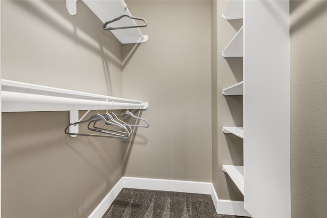 spacious closet with dark carpet