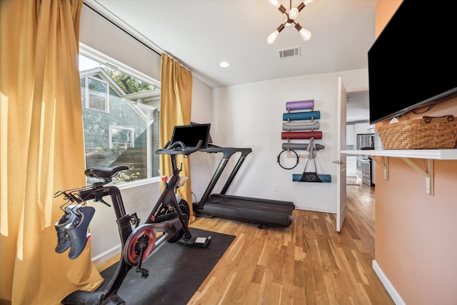 exercise area featuring a healthy amount of sunlight and hardwood / wood-style floors