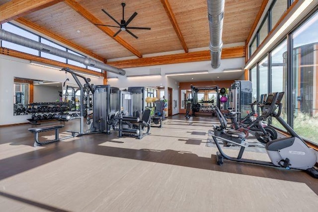 workout area with ceiling fan, a healthy amount of sunlight, hardwood / wood-style floors, and wood ceiling