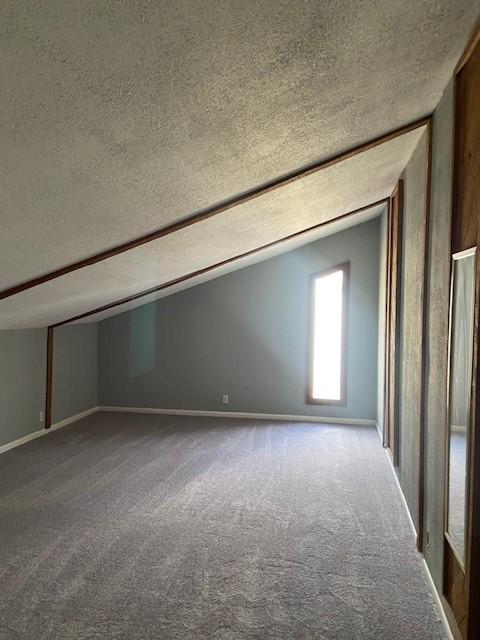 additional living space with lofted ceiling, carpet, and a textured ceiling