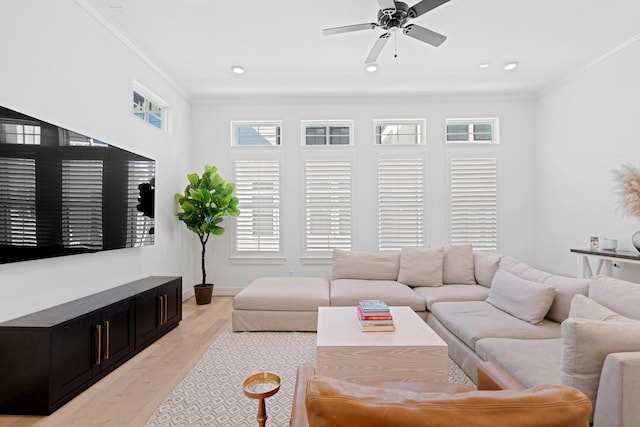 living room featuring ornamental molding, ceiling fan, and light wood-type flooring