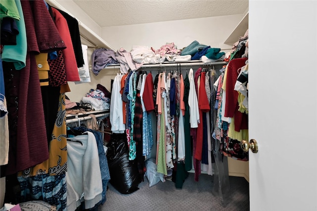 walk in closet with carpet floors