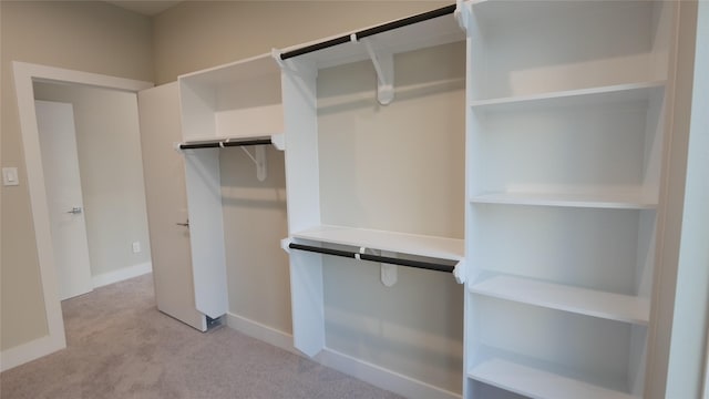 spacious closet with light carpet