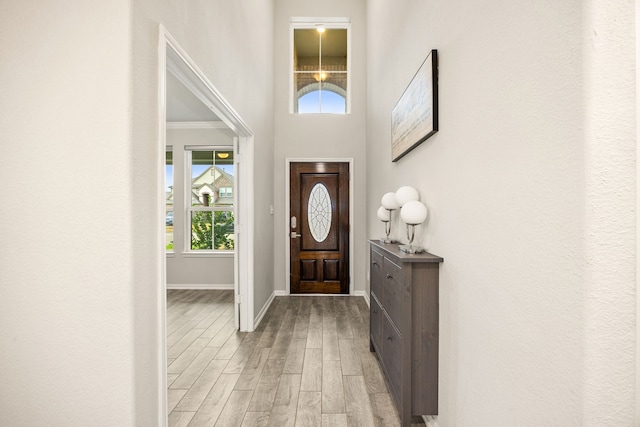 entrance foyer with crown molding and light hardwood / wood-style flooring