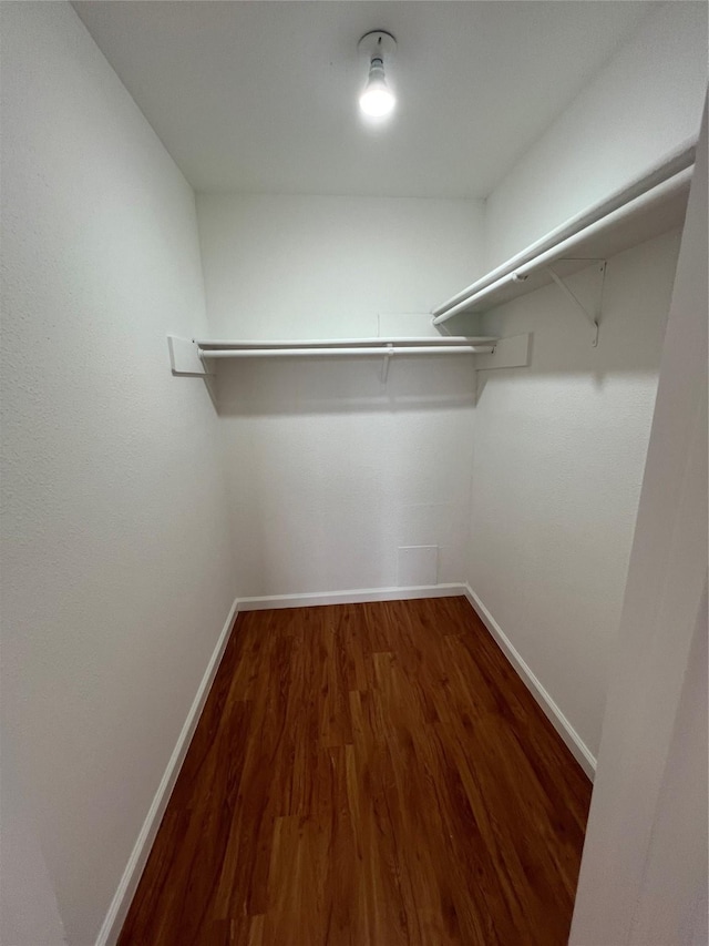 spacious closet with dark hardwood / wood-style floors