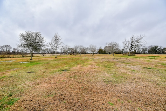 view of yard with a rural view