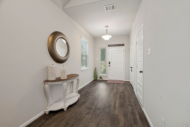 foyer featuring dark wood-type flooring