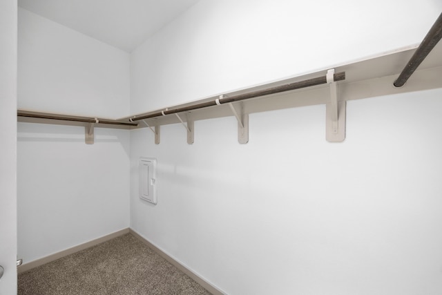 spacious closet with electric panel and carpet