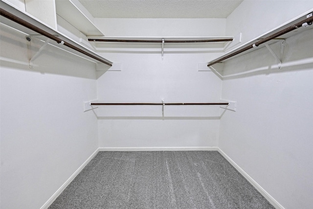 spacious closet with carpet