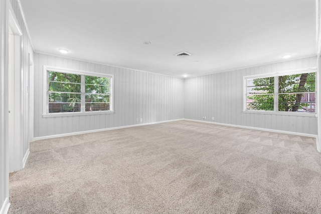 empty room with light colored carpet and a wealth of natural light