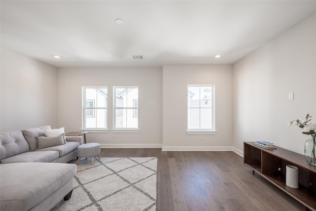 living room featuring wood-type flooring