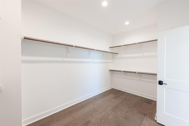 walk in closet with dark hardwood / wood-style floors