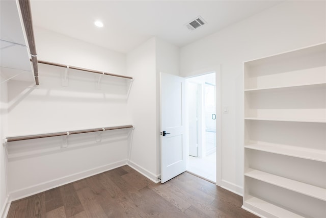 walk in closet featuring wood-type flooring