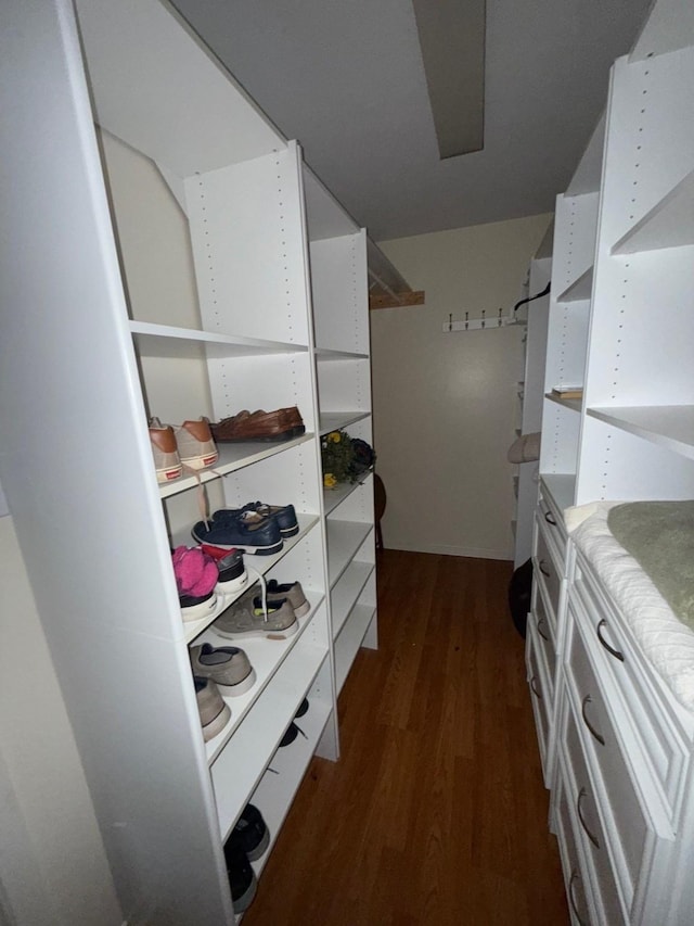 spacious closet featuring dark hardwood / wood-style flooring