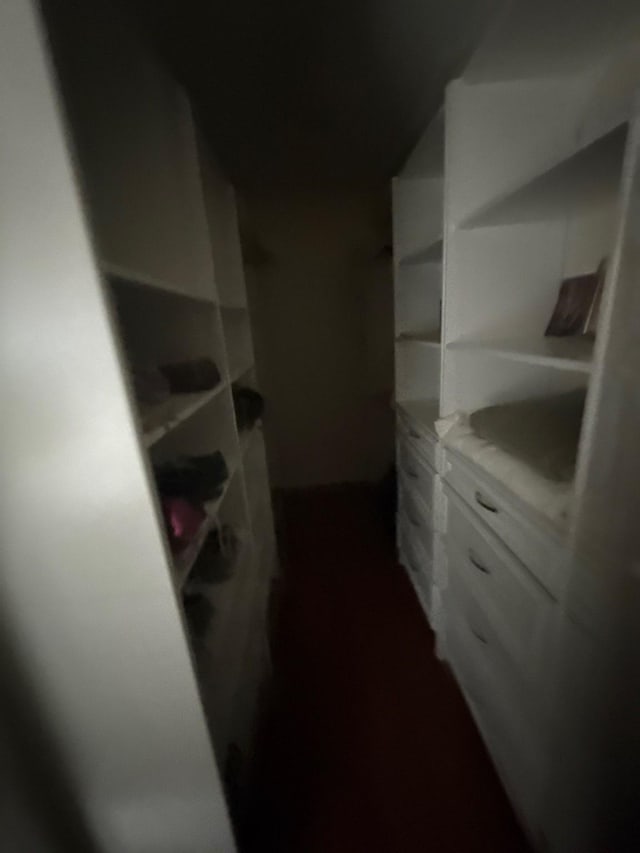 view of walk in closet