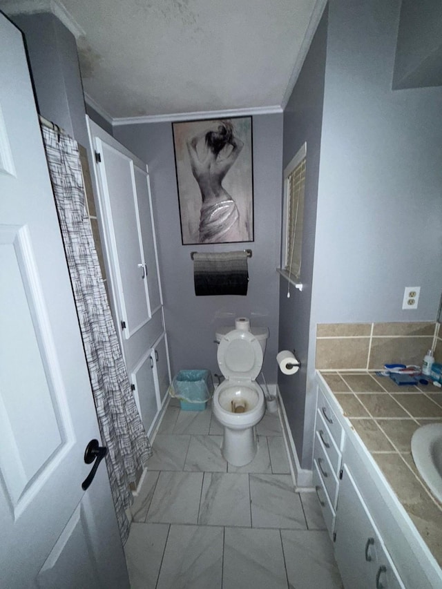 bathroom featuring vanity, crown molding, and toilet