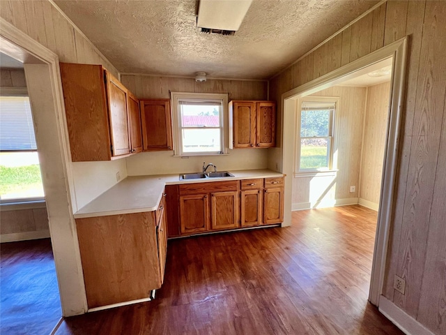 kitchen with dark wood-type flooring, wooden walls, sink, and a textured ceiling