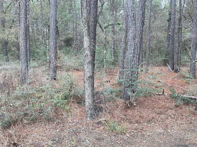 LOT19 Hackberry Dr, Plantersville TX, 77363 land for sale