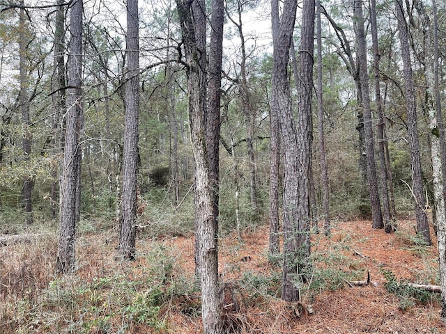 Listing photo 2 for LOT19 Hackberry Dr, Plantersville TX 77363