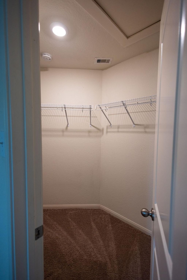 spacious closet with carpet flooring