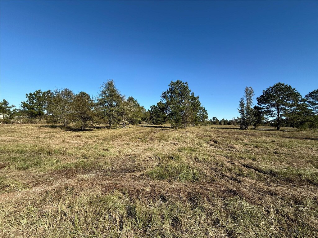 0 County Road 3011a, Dayton, TX 77535 - photo 1
