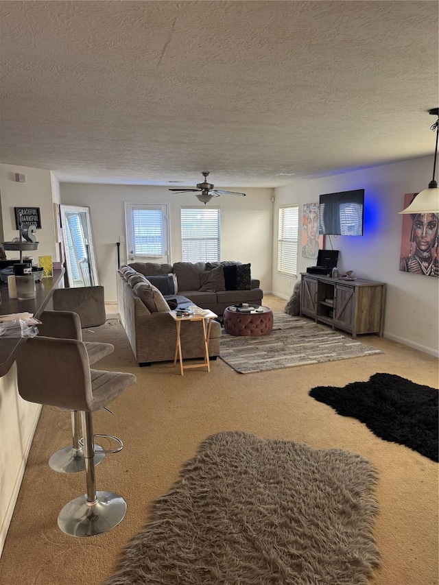 carpeted living room with a textured ceiling