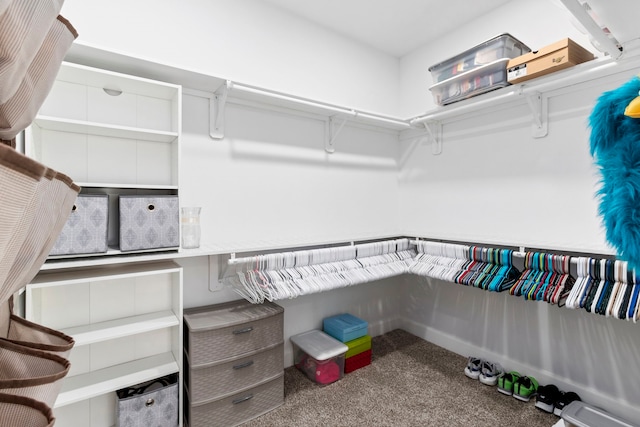 spacious closet with carpet flooring