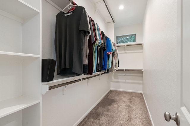 walk in closet with carpet flooring