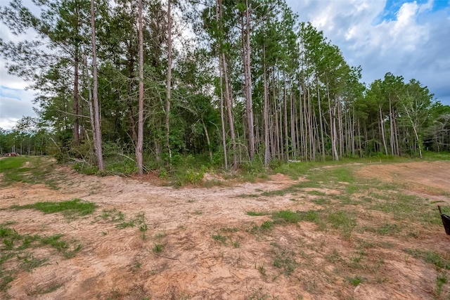 8100 High Meadow Ridge Ct, Montgomery, TX 77316