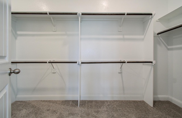 walk in closet featuring carpet floors