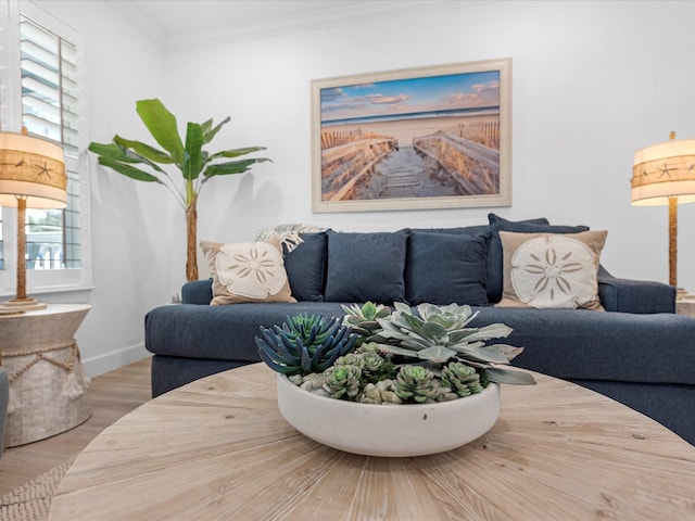 living room with ornamental molding and light hardwood / wood-style flooring