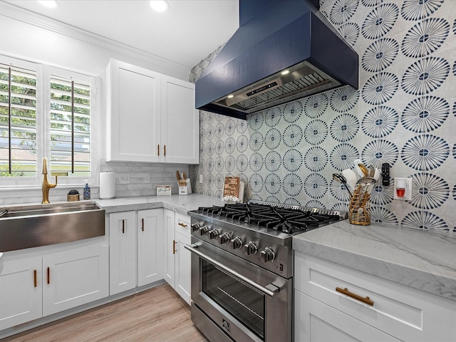 kitchen with sink, white cabinetry, stainless steel range, custom range hood, and decorative backsplash