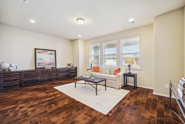 living room featuring dark wood-type flooring