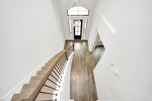 foyer entrance featuring a towering ceiling and dark hardwood / wood-style floors