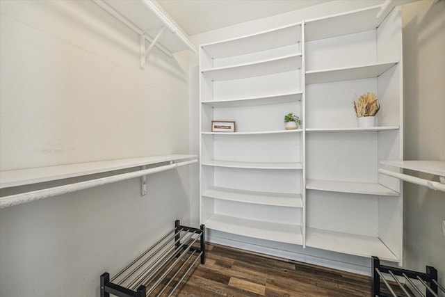 walk in closet with dark hardwood / wood-style floors