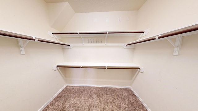 spacious closet featuring light colored carpet