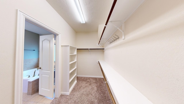 spacious closet featuring light carpet