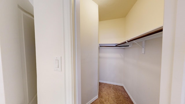 walk in closet featuring carpet