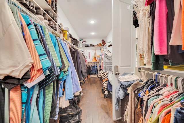 spacious closet with hardwood / wood-style flooring