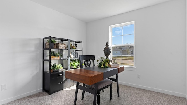 view of carpeted office space