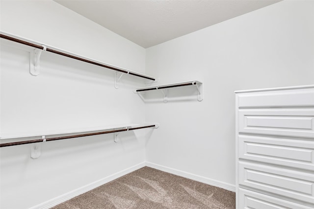 walk in closet with carpet floors