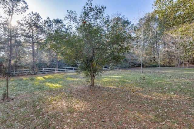 36111 Post Oak Cir, Magnolia, TX 77355 - view of yard