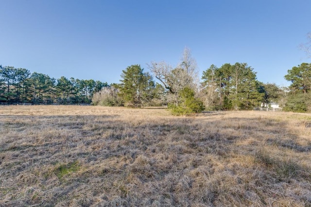 36111 Post Oak Cir, Magnolia, TX 77355 - view of nature with rural landscape