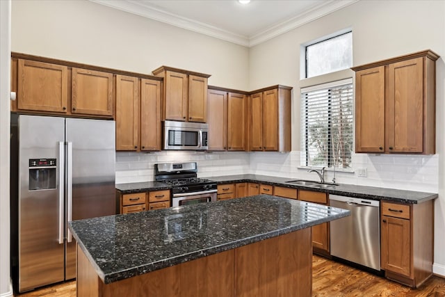 kitchen featuring crown molding, appliances with stainless steel finishes, a center island, and sink