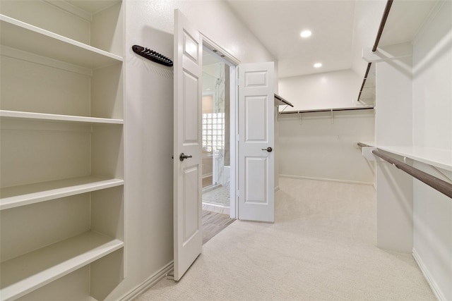 walk in closet with light colored carpet