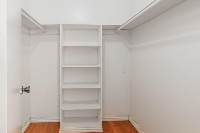 spacious closet featuring wood finished floors