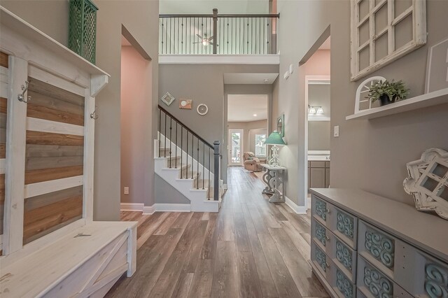 foyer featuring a high ceiling and hardwood / wood-style floors